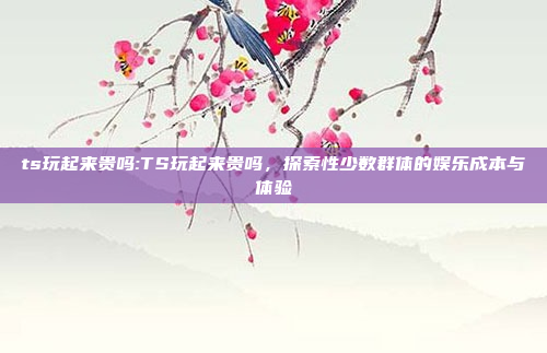 ts玩起来贵吗:TS玩起来贵吗，探索性少数群体的娱乐成本与体验