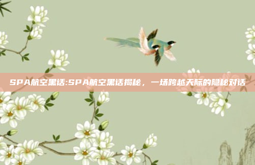 SPA航空黑话:SPA航空黑话揭秘，一场跨越天际的隐秘对话