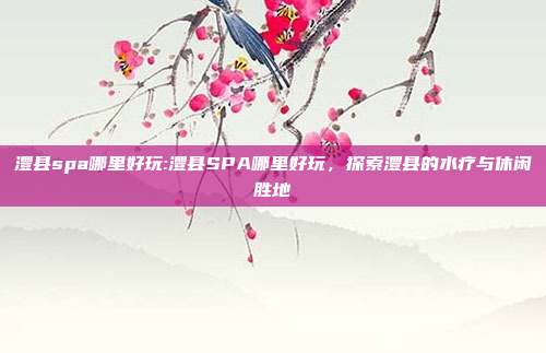 澧县spa哪里好玩:澧县SPA哪里好玩，探索澧县的水疗与休闲胜地