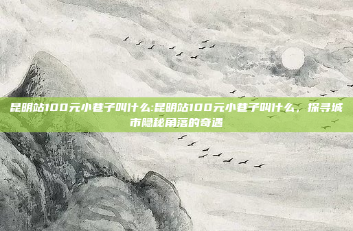 昆明站100元小巷子叫什么:昆明站100元小巷子叫什么，探寻城市隐秘角落的奇遇