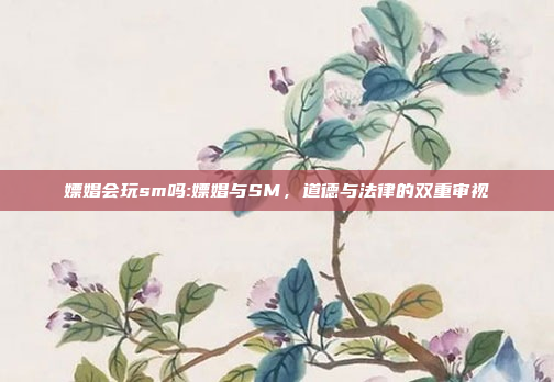 嫖娼会玩sm吗:嫖娼与SM，道德与法律的双重审视