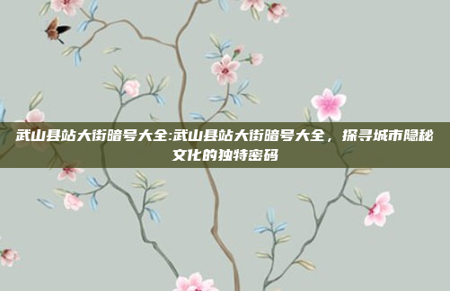 武山县站大街暗号大全:武山县站大街暗号大全，探寻城市隐秘文化的独特密码