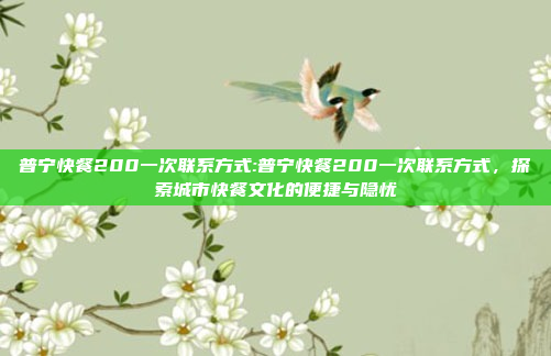 普宁快餐200一次联系方式:普宁快餐200一次联系方式，探索城市快餐文化的便捷与隐忧