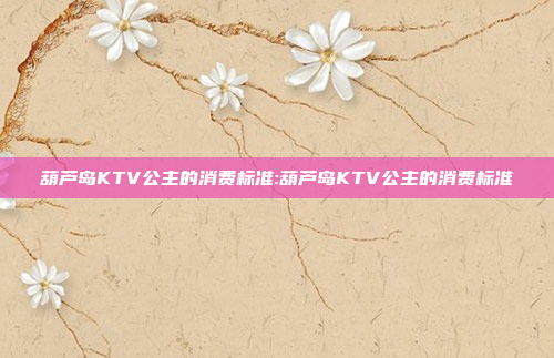 葫芦岛KTV公主的消费标准:葫芦岛KTV公主的消费标准