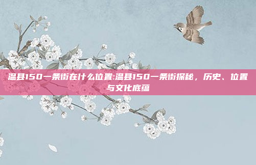 温县150一条街在什么位置:温县150一条街探秘，历史、位置与文化底蕴