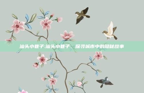 汕头小巷子:汕头小巷子，探寻城市中的隐秘故事