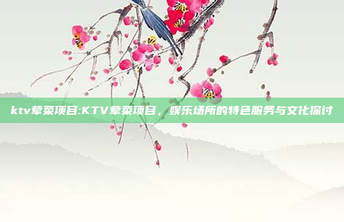 ktv荤菜项目:KTV荤菜项目，娱乐场所的特色服务与文化探讨