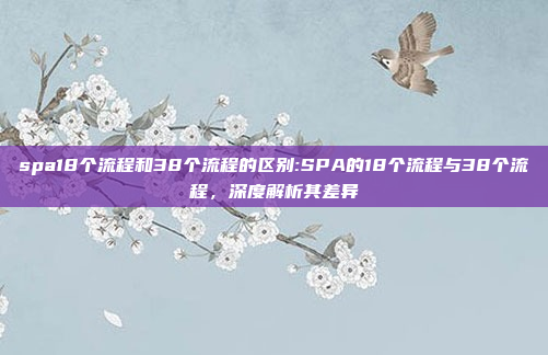 spa18个流程和38个流程的区别:SPA的18个流程与38个流程，深度解析其差异