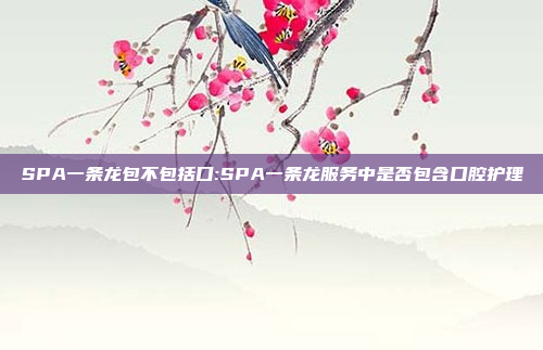 SPA一条龙包不包括口:SPA一条龙服务中是否包含口腔护理