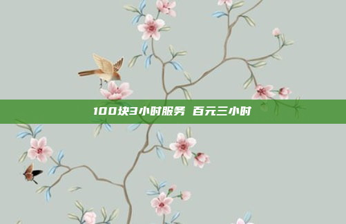 100块3小时服务 百元三小时