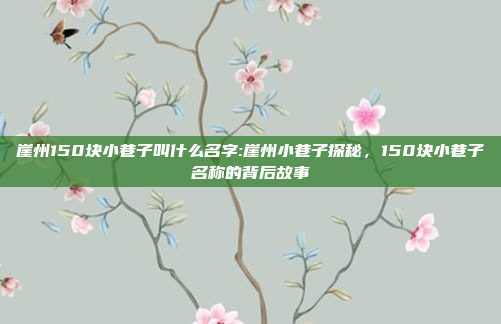 崖州150块小巷子叫什么名字:崖州小巷子探秘，150块小巷子名称的背后故事