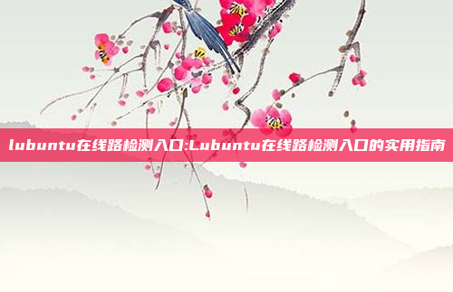 lubuntu在线路检测入口:Lubuntu在线路检测入口的实用指南