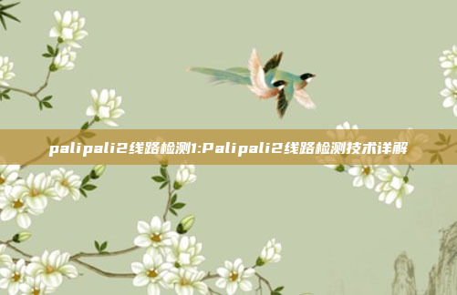 palipali2线路检测1:Palipali2线路检测技术详解