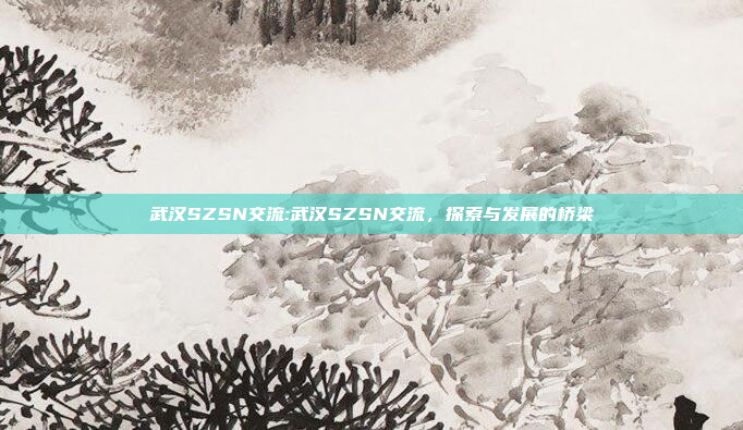 武汉SZSN交流:武汉SZSN交流，探索与发展的桥梁