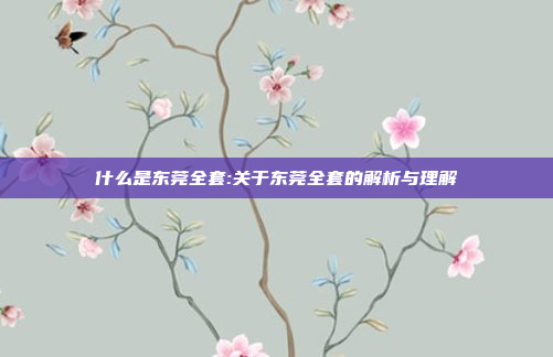 什么是东莞全套:关于东莞全套的解析与理解