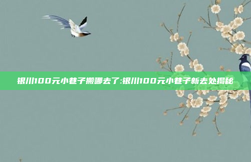 银川100元小巷子搬哪去了:银川100元小巷子新去处揭秘