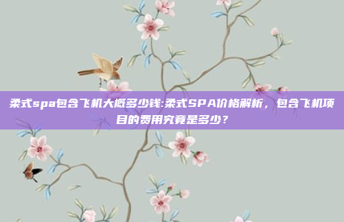 柔式spa包含飞机大概多少钱:柔式SPA价格解析，包含飞机项目的费用究竟是多少？