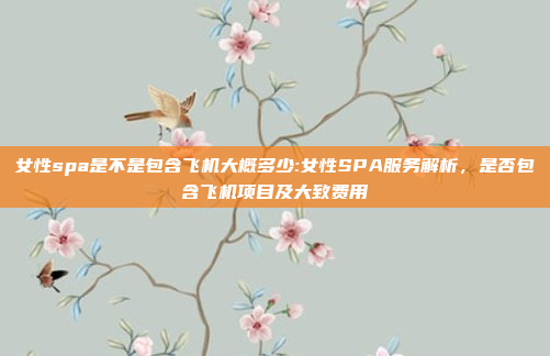 女性spa是不是包含飞机大概多少:女性SPA服务解析，是否包含飞机项目及大致费用