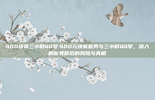 400快餐三小时QQ号:400元快餐服务与三小时QQ号，深入解析其背后的风险与真相