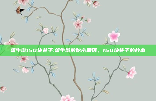 望牛墩150块巷子:望牛墩的秘密角落，150块巷子的故事