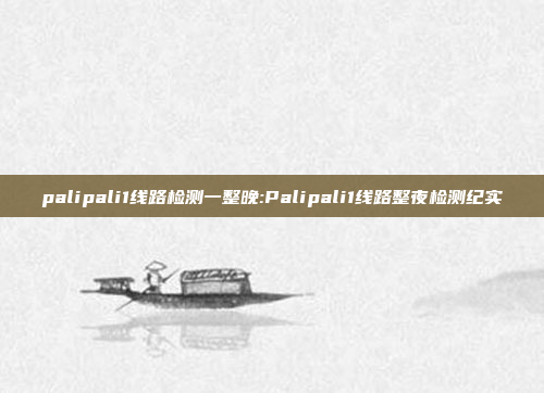 palipali1线路检测一整晚:Palipali1线路整夜检测纪实