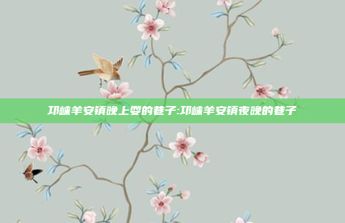 邛崃羊安镇晚上耍的巷子:邛崃羊安镇夜晚的巷子