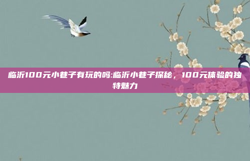 临沂100元小巷子有玩的吗:临沂小巷子探秘，100元体验的独特魅力