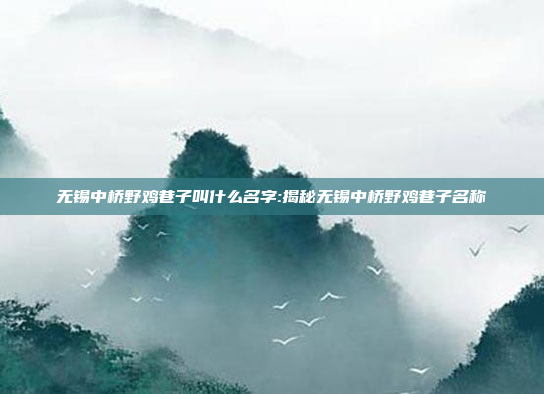 无锡中桥野鸡巷子叫什么名字:揭秘无锡中桥野鸡巷子名称