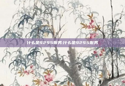 什么是9295服务:什么是9295服务