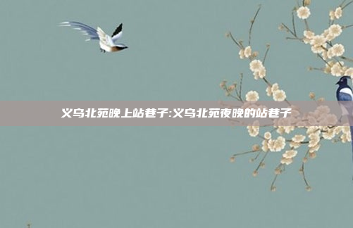 义乌北苑晚上站巷子:义乌北苑夜晚的站巷子