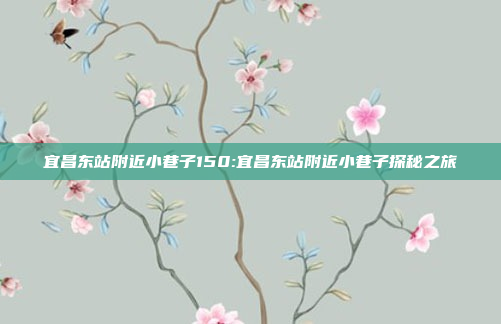 宜昌东站附近小巷子150:宜昌东站附近小巷子探秘之旅