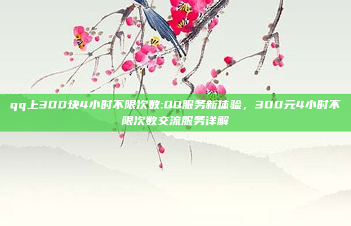 qq上300块4小时不限次数:QQ服务新体验，300元4小时不限次数交流服务详解