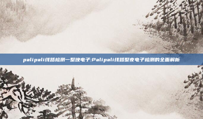 palipali线路检测一整晚电子:Palipali线路整夜电子检测的全面解析