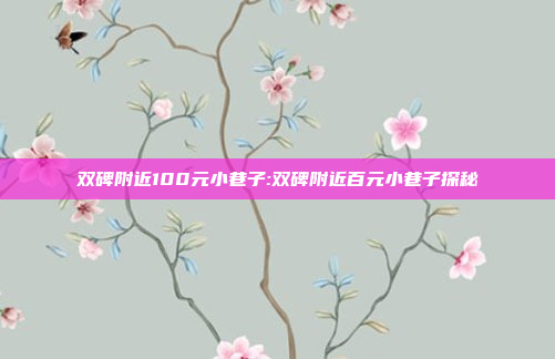 双碑附近100元小巷子:双碑附近百元小巷子探秘