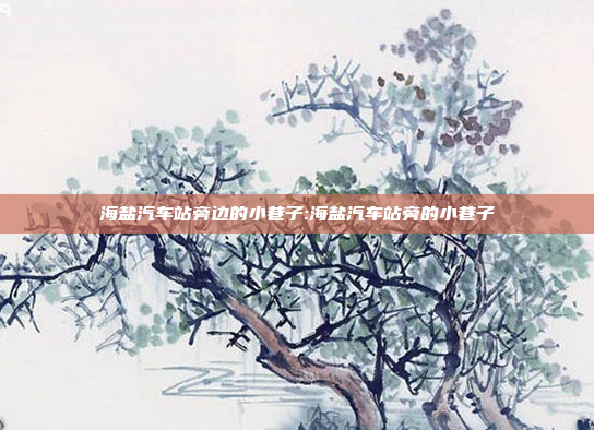 海盐汽车站旁边的小巷子:海盐汽车站旁的小巷子