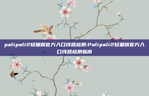 palipali2轻量版官方入口线路检测:Palipali2轻量版官方入口线路检测指南