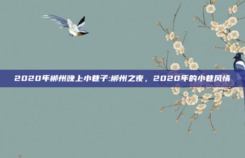 2020年郴州晚上小巷子:郴州之夜，2020年的小巷风情