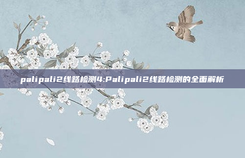 palipali2线路检测4:Palipali2线路检测的全面解析