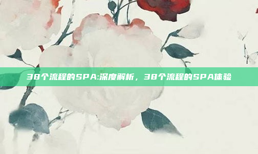 38个流程的SPA:深度解析，38个流程的SPA体验