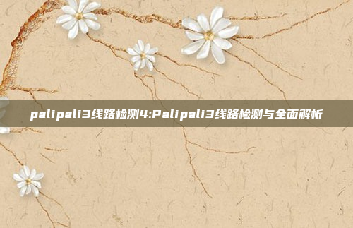 palipali3线路检测4:Palipali3线路检测与全面解析