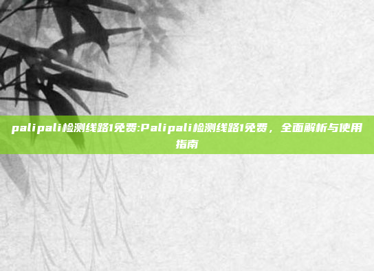 palipali检测线路1免费:Palipali检测线路1免费，全面解析与使用指南