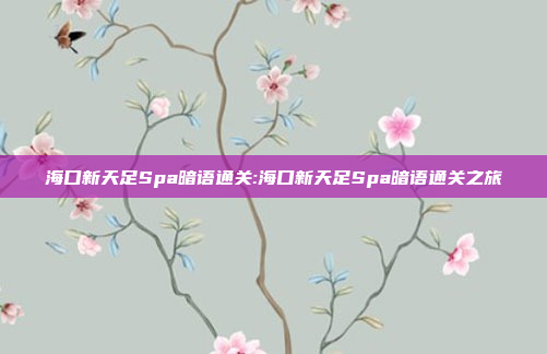 海口新天足Spa暗语通关:海口新天足Spa暗语通关之旅