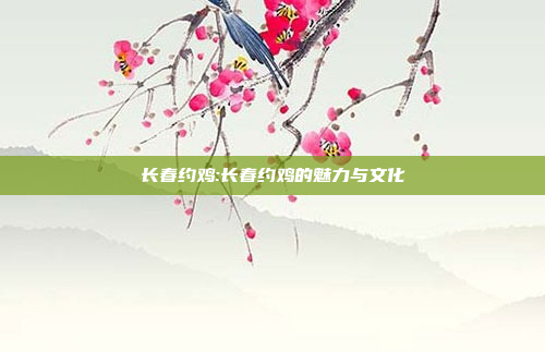 长春约鸡:长春约鸡的魅力与文化