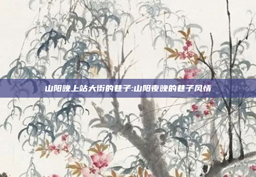 山阳晚上站大街的巷子:山阳夜晚的巷子风情