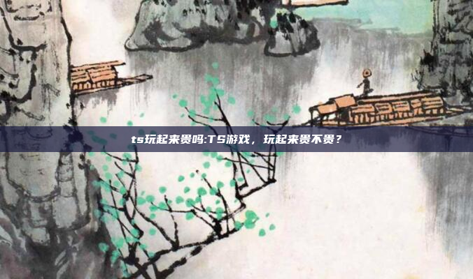 ts玩起来贵吗:TS游戏，玩起来贵不贵？