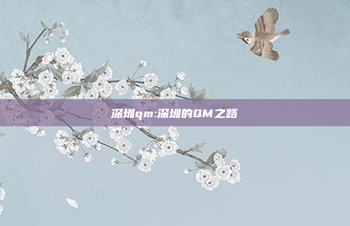 深圳qm:深圳的QM之路