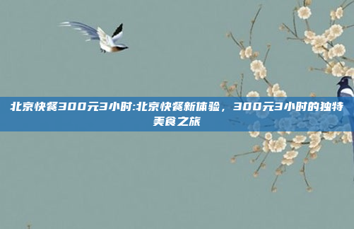 北京快餐300元3小时:北京快餐新体验，300元3小时的独特美食之旅