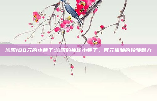 沁阳100元的小巷子:沁阳的神秘小巷子，百元体验的独特魅力