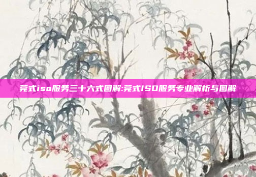 莞式iso服务三十六式图解:莞式ISO服务专业解析与图解