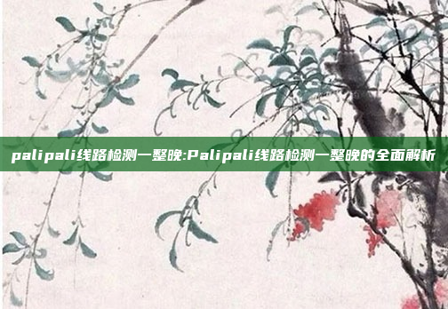 palipali线路检测一整晚:Palipali线路检测一整晚的全面解析